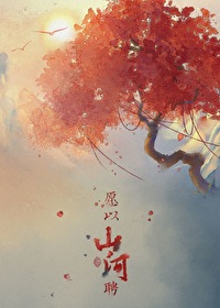 愿以山河聘章节列表