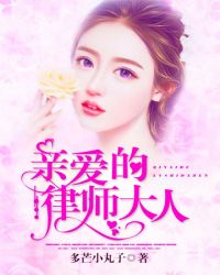 亲爱的律师大人章节列表