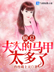 顾总，夫人的马甲太多了！章节列表