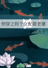 快穿之拐个女配做老婆章节列表