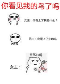 你看见我的鸟了吗(校对版)章节列表