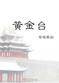 黄金台章节列表