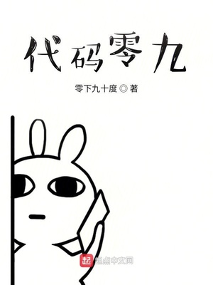 代码零九章节列表