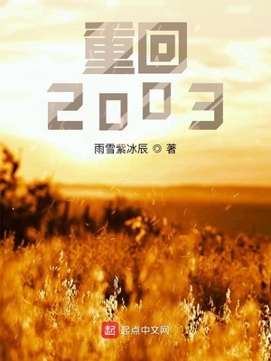重回2003章节列表