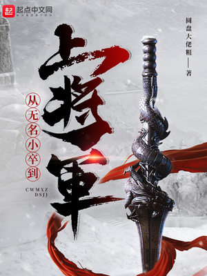 从无名小卒到上将军章节列表