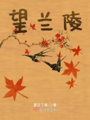 望兰陵章节列表