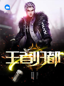 王者归都章节列表