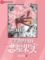 美漫里的恶魔果实章节列表