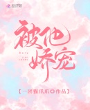 被他娇宠章节列表