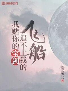 我赌你的宝剑追不上我的飞船章节列表