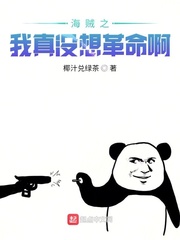 海贼之我真没想革命啊章节列表