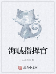 海贼指挥官章节列表