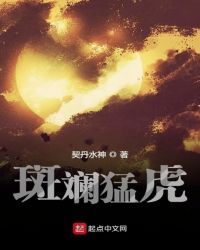 斑斓猛虎章节列表