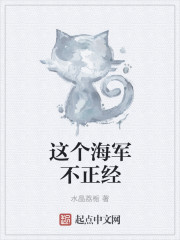 这个海军不正经章节列表