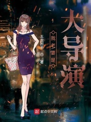 我老婆是大导演章节列表