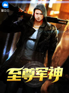 至尊军神章节列表