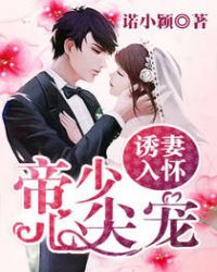 今夜星辰似你诺筱颖章节列表
