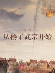 大明从揍了武宗开始章节列表