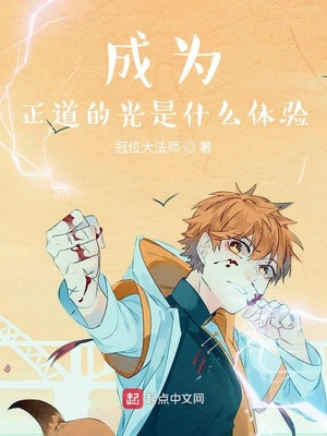 成为正道的光是什么体验章节列表