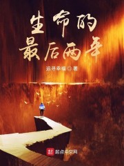 生命的最后两年章节列表