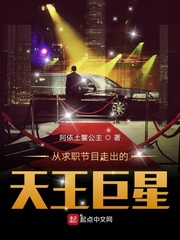 从求职节目走出的天王巨星章节列表