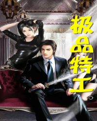 极品特工章节列表