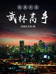 从武林高手到全民偶像章节列表