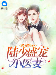 替嫁暖婚：陆少盛宠小医妻章节列表
