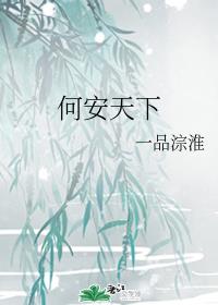何安天下章节列表