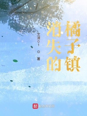 消失的橘子镇章节列表