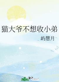 猫大爷不想收小弟章节列表