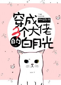 穿成三个大佬的白月光章节列表