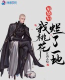 男装后我桃花烂了一地章节列表