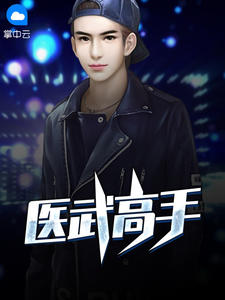 医武高手秦君叶婉儿章节列表