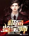 极品鉴宝师章节列表