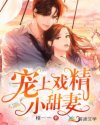 宠上戏精小甜妻章节列表
