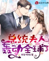 总统夫人轰动全球了章节列表