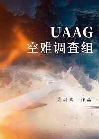 UAAG空难调查组章节列表