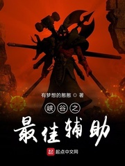 峡谷之最佳辅助章节列表