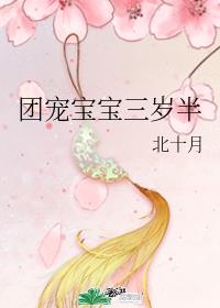 团宠宝宝三岁半章节列表