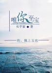 唯你至宝章节列表