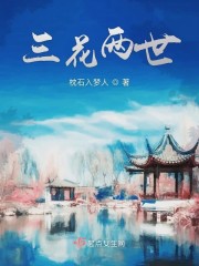 三花两世章节列表