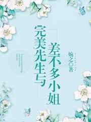 完美先生与差不多小姐章节列表