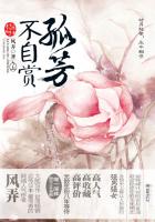 孤芳不自赏章节列表