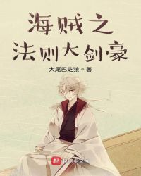 海贼之法则大剑豪章节列表