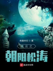 青云之朝阳松涛章节列表