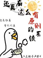 还真有这么有原则的系统章节列表