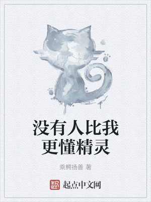 没有人比我更懂精灵章节列表