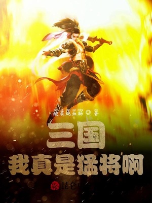 三国：我真是猛将啊章节列表