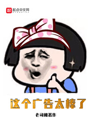 这个广告太棒了章节列表
